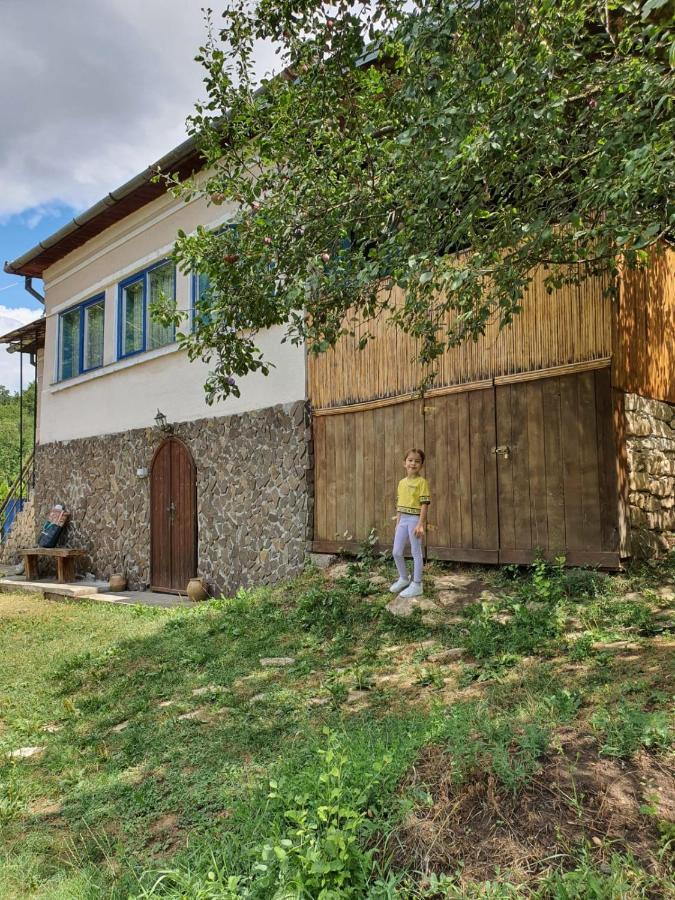 Straja Casa La Casiru 17ヴィラ エクステリア 写真